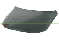 PRASCO VG0543130 - 