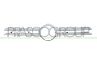 PRASCO VG0342011 - Panal de radiador - Premium