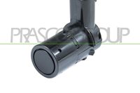 PRASCO VV3202901 - Sensor, auxiliar de aparcamiento