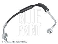 BLUE PRINT ADA105318 - Tubo flexible de frenos