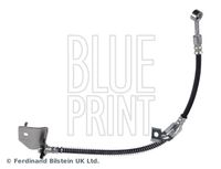 BLUE PRINT ADBP530032 - Tubo flexible de frenos