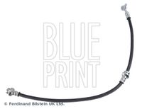 BLUE PRINT ADBP530033 - Tubo flexible de frenos