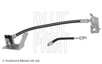 BLUE PRINT ADBP530050 - Tubo flexible de frenos