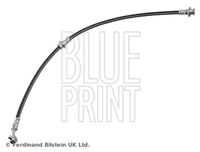 BLUE PRINT ADBP530053 - Tubo flexible de frenos