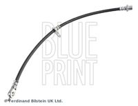 BLUE PRINT ADBP530038 - Tubo flexible de frenos