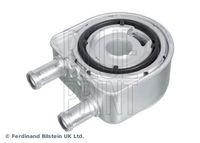 BLUE PRINT ADBP610095 - Radiador de aceite, aceite motor