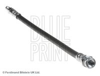 BLUE PRINT ADC45398 - Tubo flexible de frenos