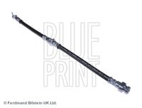 BLUE PRINT ADC453117 - Tubo flexible de frenos