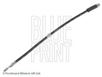 BLUE PRINT ADF125302 - Tubo flexible de frenos