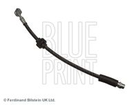 BLUE PRINT ADG053313 - Tubo flexible de frenos