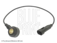 BLUE PRINT ADG07216 - Longitud de cable [mm]: 400<br>Número de enchufes de contacto: 2<br>Forma del enchufe: oval<br>