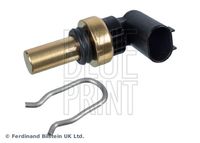 BLUE PRINT ADG072136 - Sensor, temperatura del refrigerante