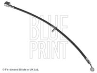 BLUE PRINT ADH253193 - Tubo flexible de frenos