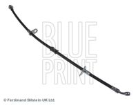 BLUE PRINT ADH25372 - Tubo flexible de frenos