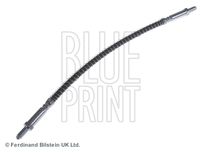 BLUE PRINT ADJ135303 - Tubo flexible de frenos