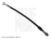 BLUE PRINT ADK85331 - Tubo flexible de frenos