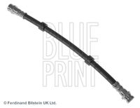 BLUE PRINT ADM553123 - Tubo flexible de frenos