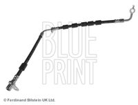 BLUE PRINT ADM553124 - Tubo flexible de frenos