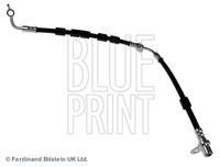 BLUE PRINT ADM553125 - Tubo flexible de frenos