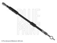 BLUE PRINT ADM553127 - Tubo flexible de frenos