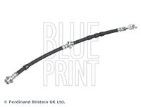 BLUE PRINT ADN153137 - Tubo flexible de frenos