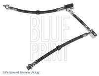 BLUE PRINT ADN153161 - Tubo flexible de frenos