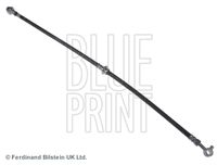 BLUE PRINT ADN153171 - Tubo flexible de frenos