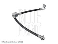 BLUE PRINT ADN153106 - Tubo flexible de frenos