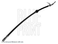 BLUE PRINT ADN153146 - Tubo flexible de frenos