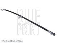 BLUE PRINT ADS75355 - Tubo flexible de frenos