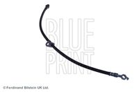 BLUE PRINT ADT353230 - Tubo flexible de frenos