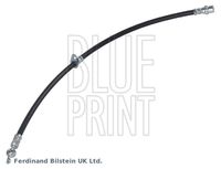 BLUE PRINT ADT353231 - Tubo flexible de frenos