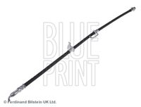 BLUE PRINT ADT353271 - Tubo flexible de frenos