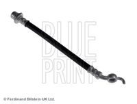 BLUE PRINT ADT353268 - Tubo flexible de frenos