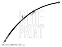 BLUE PRINT ADT353366 - Tubo flexible de frenos