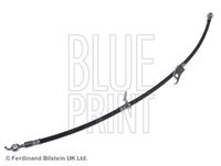 BLUE PRINT ADT353401 - Tubo flexible de frenos