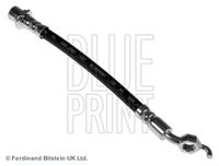 BLUE PRINT ADT353369 - Tubo flexible de frenos