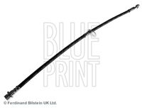 BLUE PRINT ADT353355 - Tubo flexible de frenos