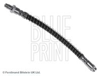 BLUE PRINT ADZ95323 - Tubo flexible de frenos