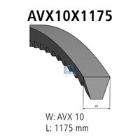 CONTINENTAL CTAM AVX13X1275 - Unidades accionadas: Alternador<br>Peso [kg]: 0,078<br>Longitud [mm]: 1000<br>