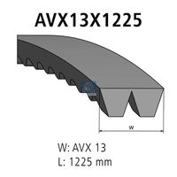 CONTINENTAL CTAM 2XAVX13X1225 - Juego de correas trapezoidales