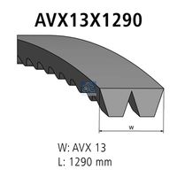 CONTINENTAL CTAM AVX13X1300 - Correa trapezoidal