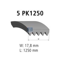 DAYCO 6PK1565 - año construcción desde: 12/2001<br>Unidades accionadas: Alternador<br>Variante de equipamiento: 1201> , TU3JP<br>para OE N°: 5750WG<br>Longitud [mm]: 1558<br>Número de nervaduras: 6<br>