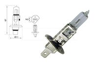 CARPRISS 79780230 - Tensión [V]: 12<br>Potencia nominal [W]: 55<br>Calidad: Estuche<br>Homologación: E4<br>Tipo de lámpara: H7<br>Tipo de luces: Halógena<br>Cantidad: 2<br>Especificación: 60% mas visibilidad<br>Color lámpara: azul<br>Modelo de zócalo, bombilla incandescente: PX26d<br>