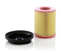 MANN-FILTER C29010KIT - Filtro de aire