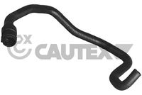 CAUTEX 036736 - Manguera, intercambiador de calor (calefacción)