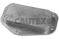 CAUTEX 751824 - Lado de montaje: debajo<br>Lado de montaje: Eje delantero<br>Artículo complementario/Información complementaria: con juntas<br>peso [g]: 1500<br>