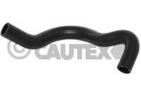 CAUTEX 754393 - Tubo flexible para aceite