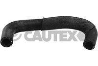 CAUTEX 753884 - 