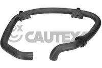 CAUTEX 754077 - Versión: Intercooler<br>